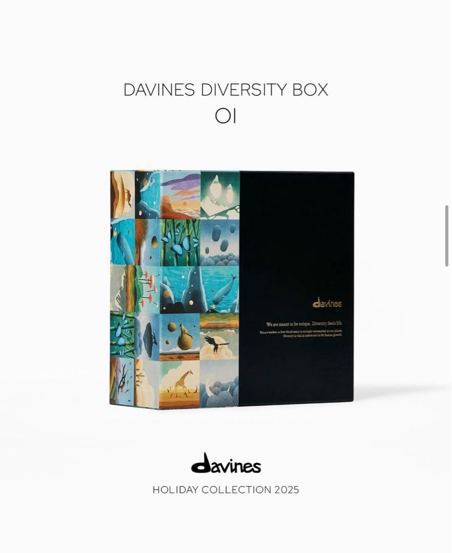 ダヴィネス ダイバーシティ ボックス＜オイ＞