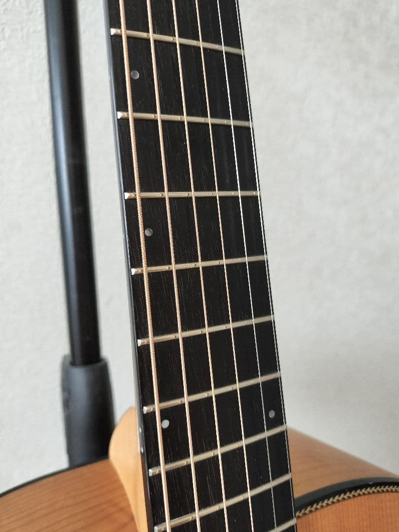 ひじきページ☆ブリードラブBreedlove Oregon