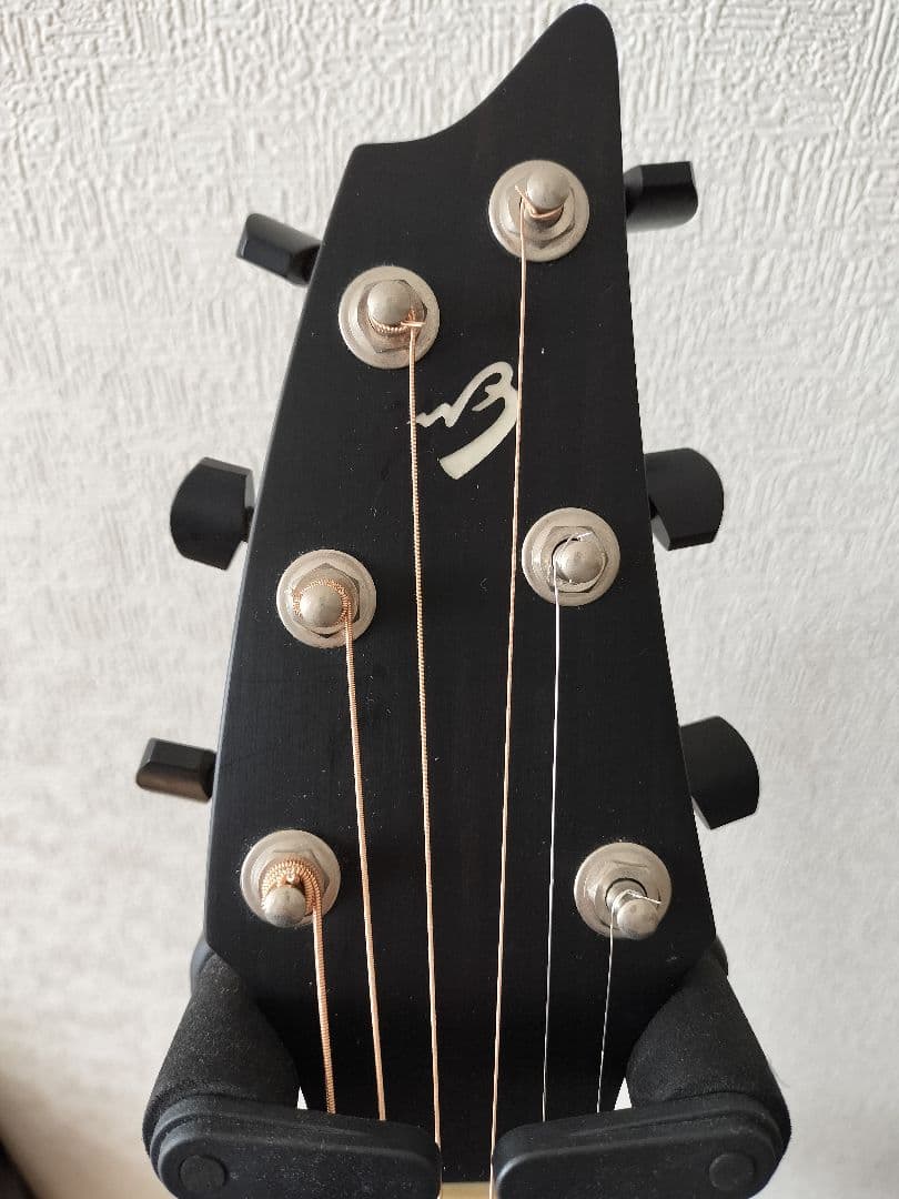 ひじきページ☆ブリードラブBreedlove Oregon