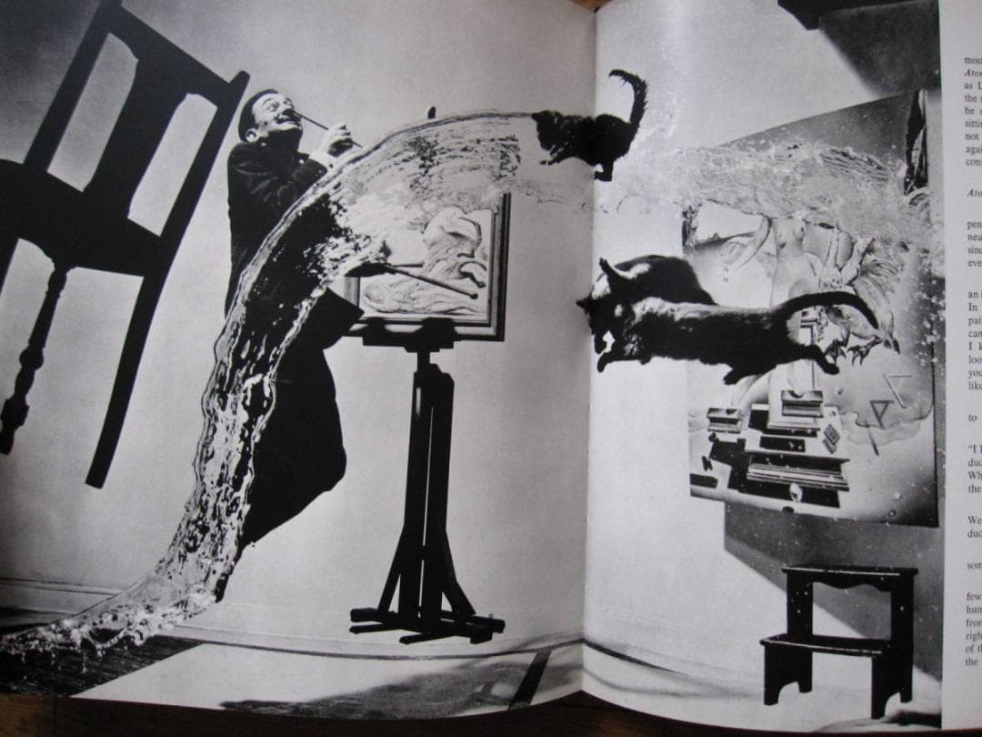 Halsman : Sight and Insight　フィリップ・ハルスマン