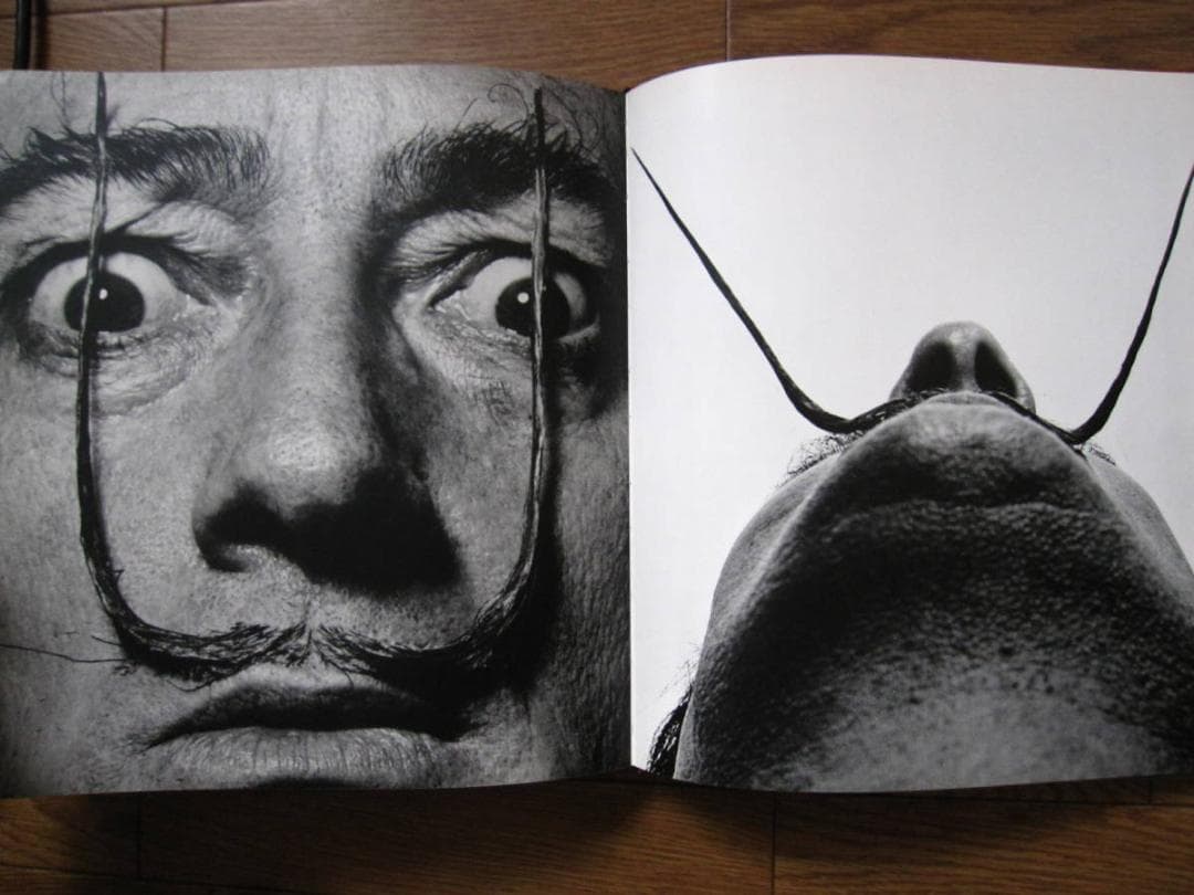 Halsman : Sight and Insight　フィリップ・ハルスマン