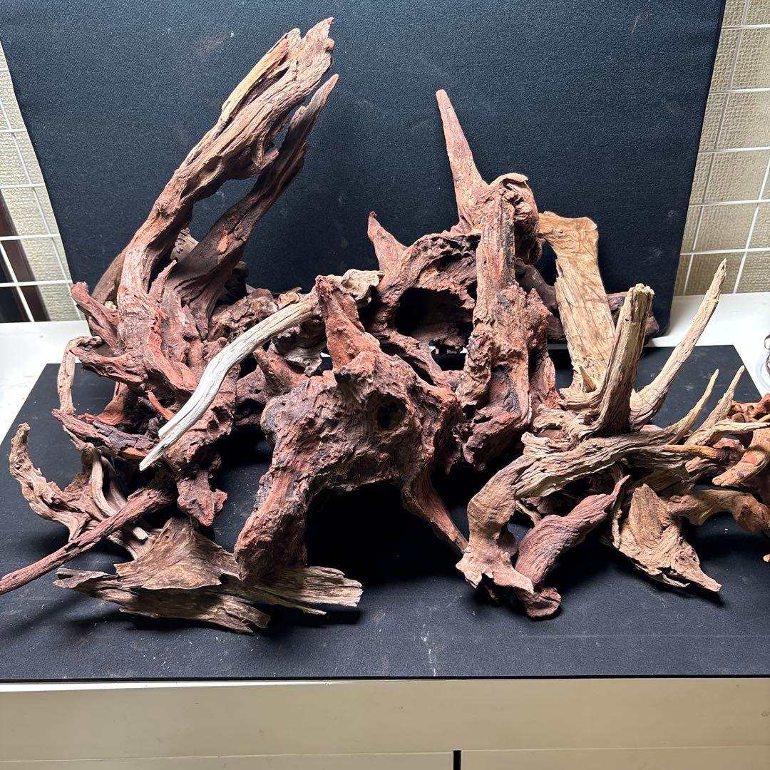 ADAホーンウッド13個