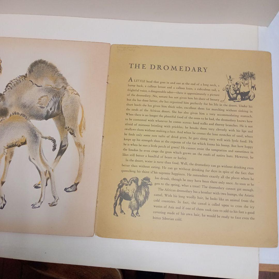 ロジァンコフスキー絵本ー「WILD  ANMALS  AT 」1935年