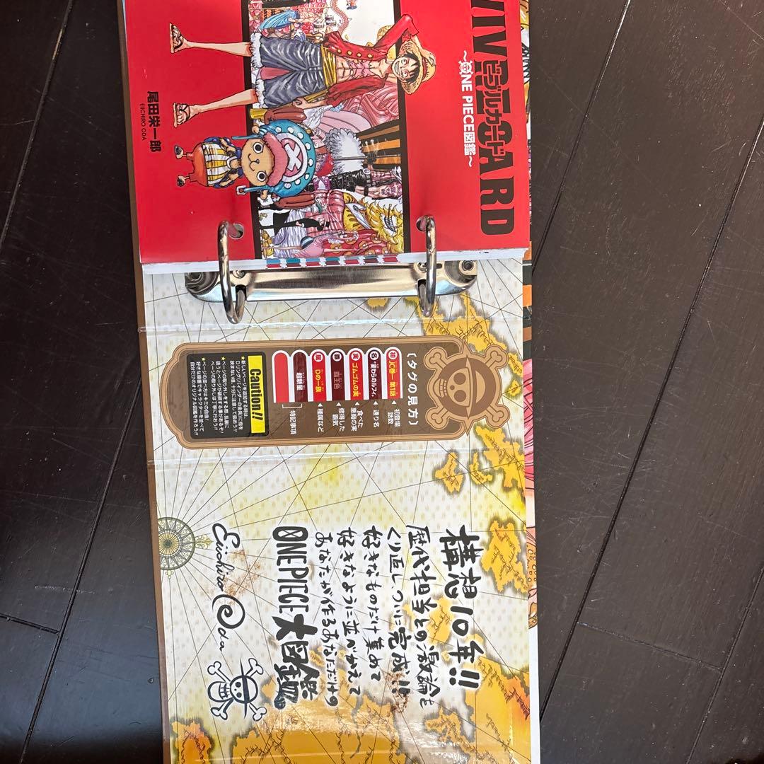 VIVIの冒険の中 ONE PIECE 公式ガイド