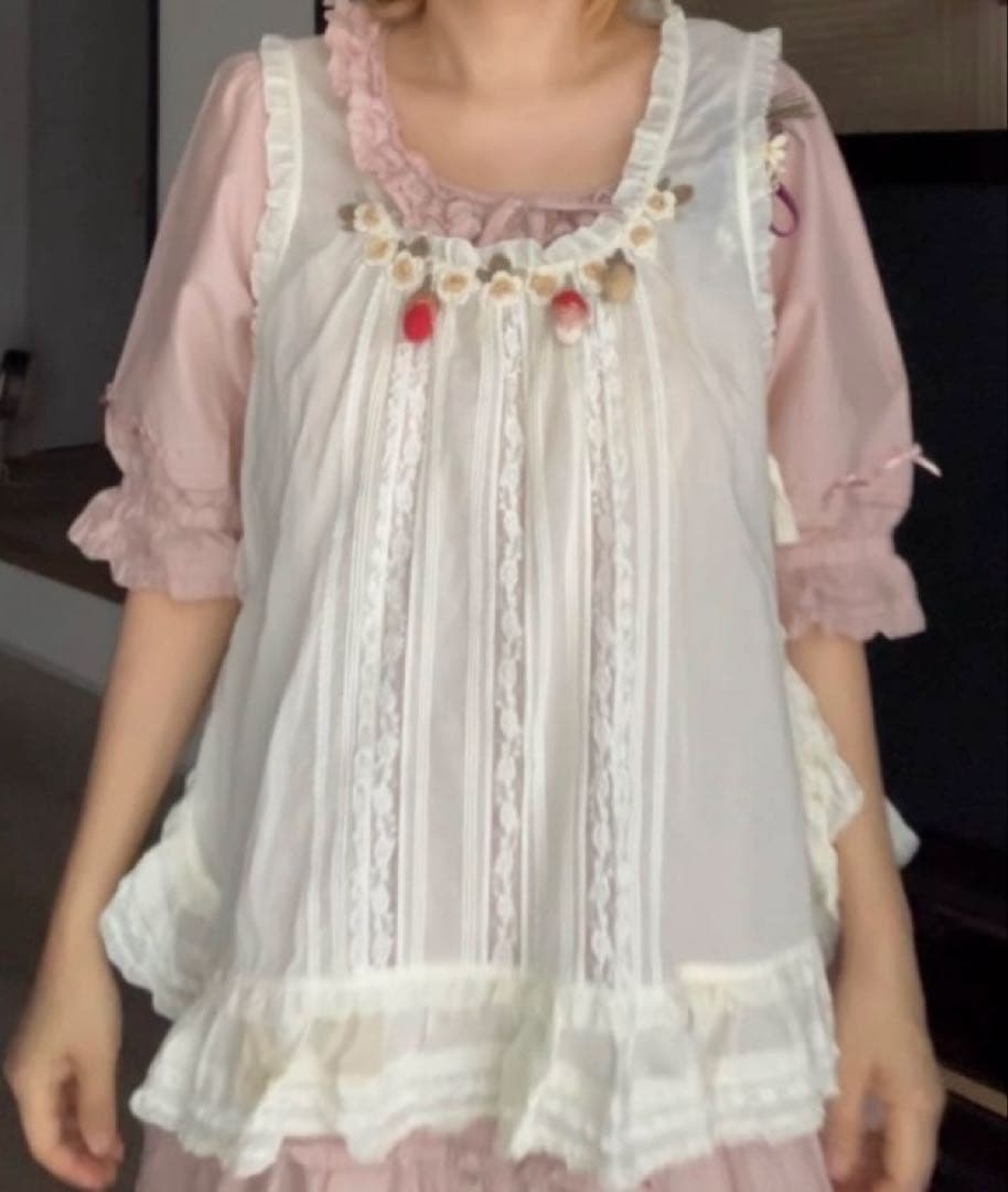 ピンクハウスダブリエ　野ばらとチェリー刺繍　pinkhouse