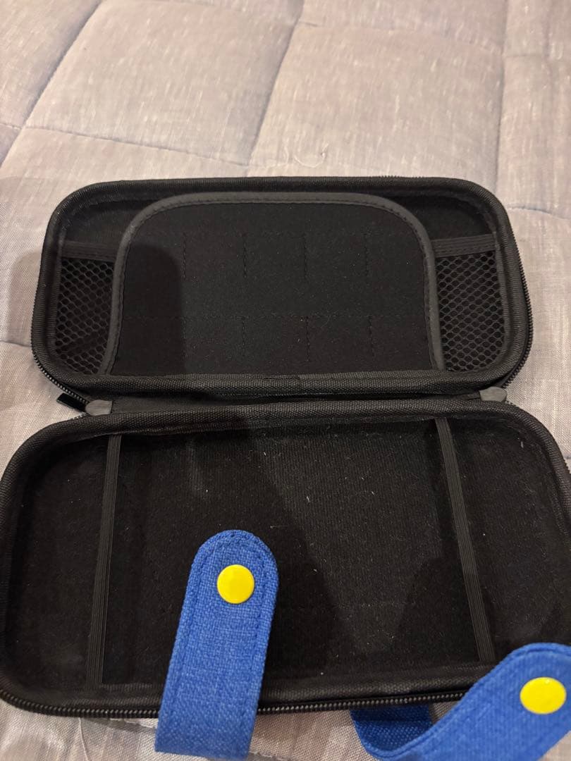 Nintendo Switch Lite 本体 ブルー 充電器付き　即日発送