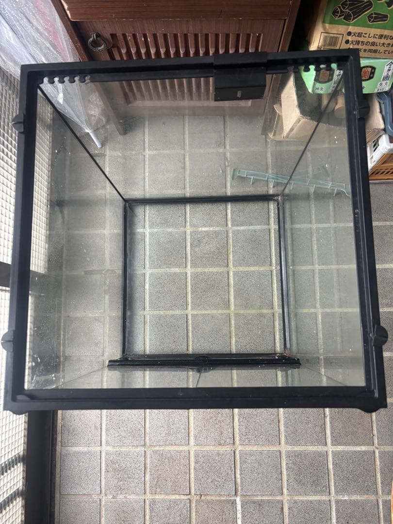 グラステラリウム4560 送料込み