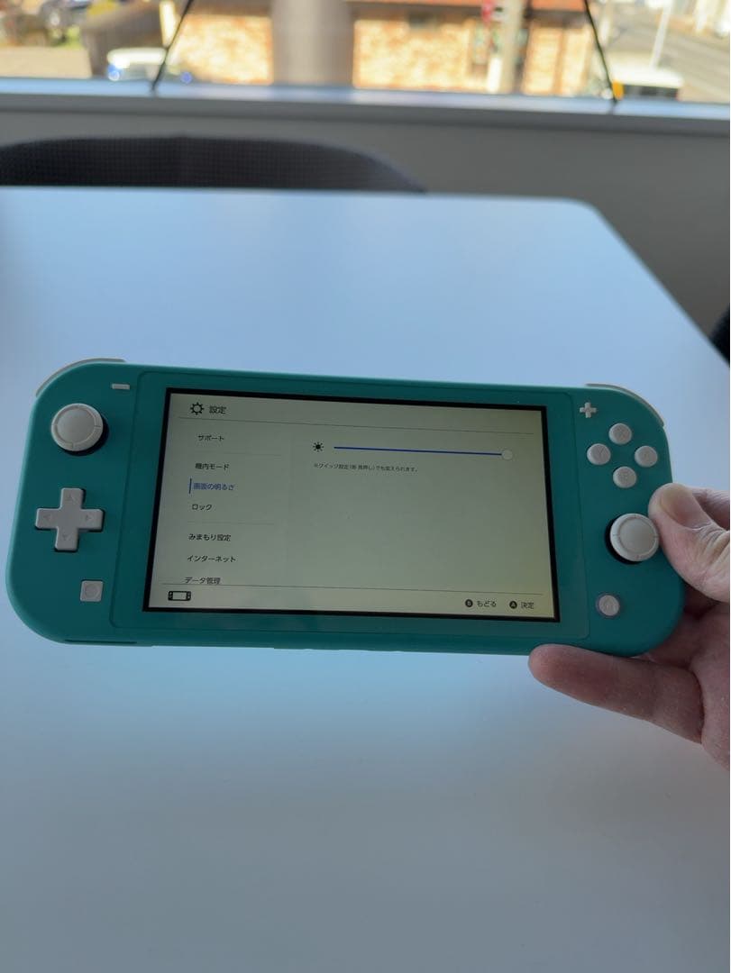 Nintendo Switch Lite ターコイズ 本体 充電器・カード付き