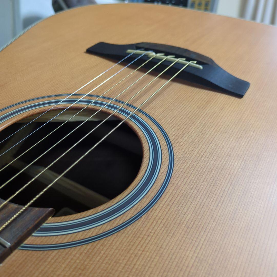 タカミネ海外輸出モデルGD-20CE-ns、