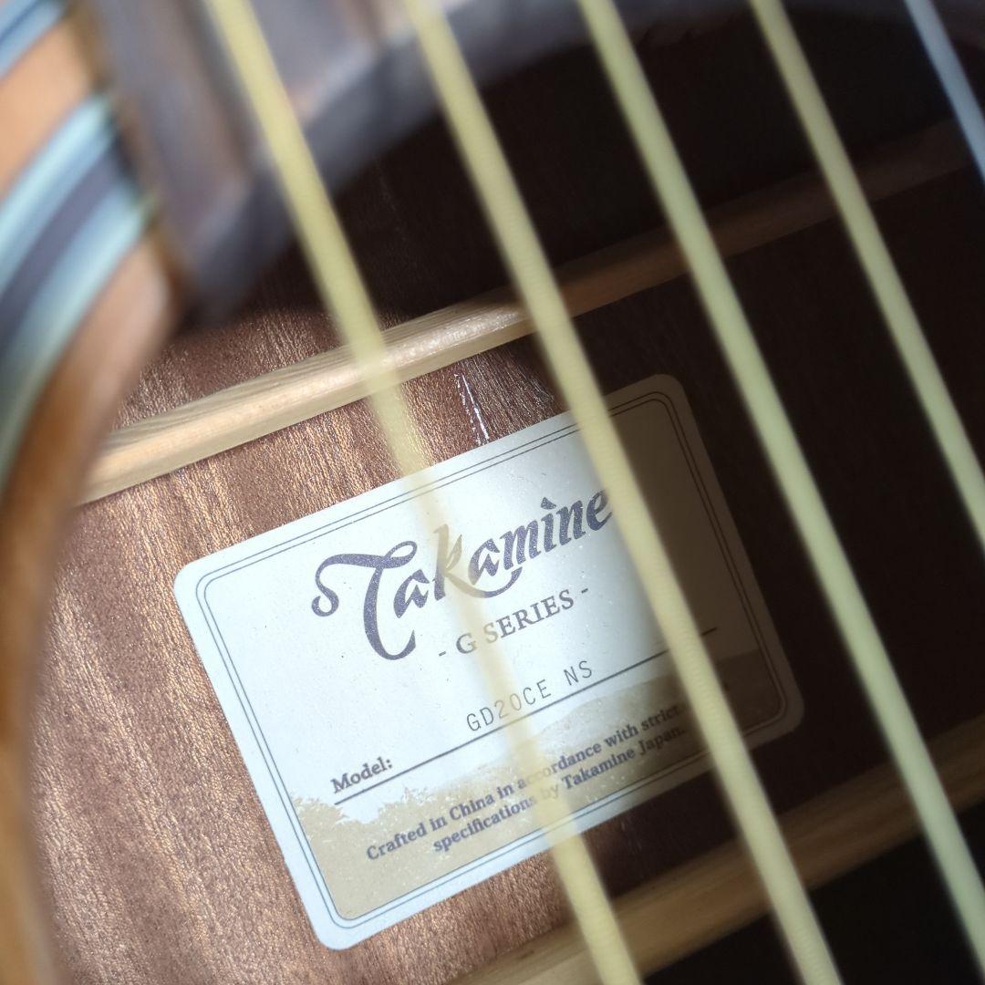 タカミネ海外輸出モデルGD-20CE-ns、