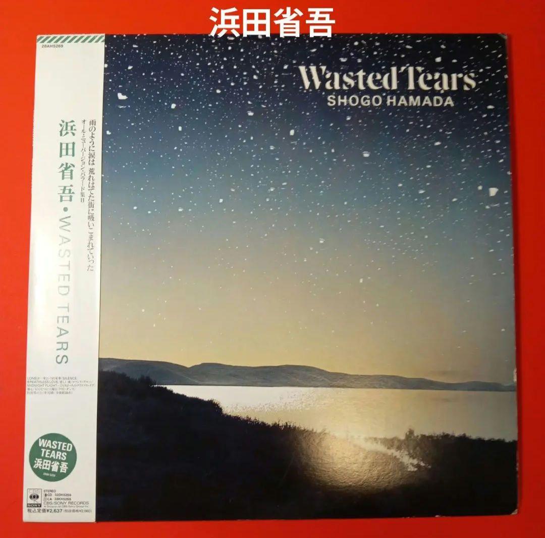 浜田省吾　LP レコード　wasted tears