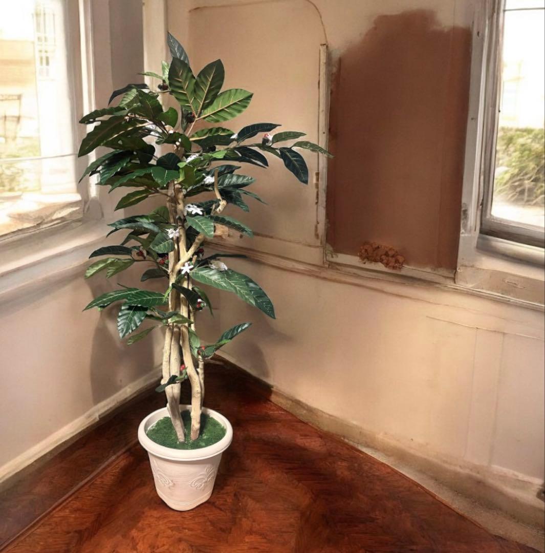 光触媒　人工観葉植物　ウォールグリーン　フェイクグリーン　コーヒーの木12162