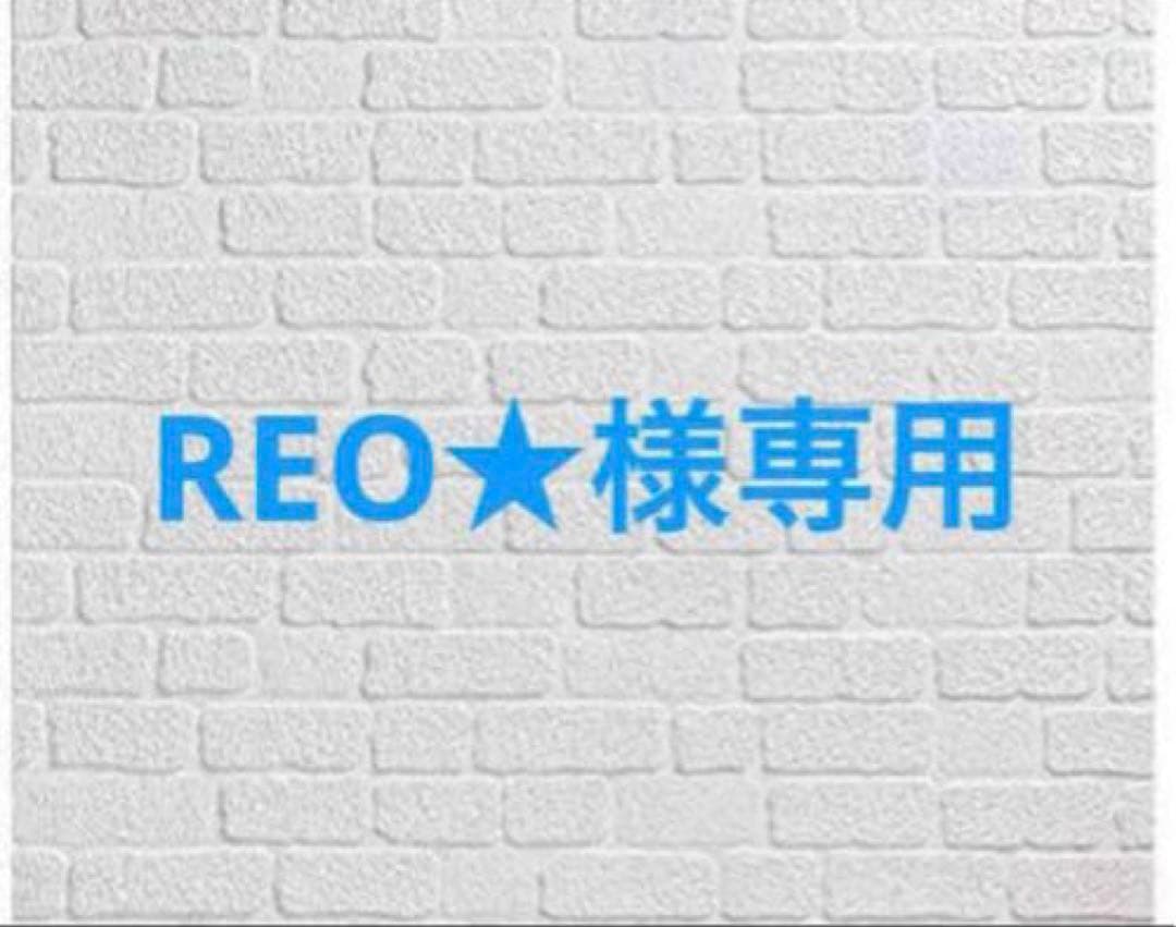 REO★ かたわれ令嬢が男装する理由 他
