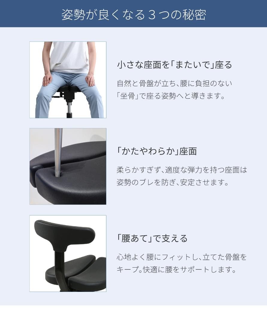Ayur Chair アーユルチェアー オクトパス　猫背