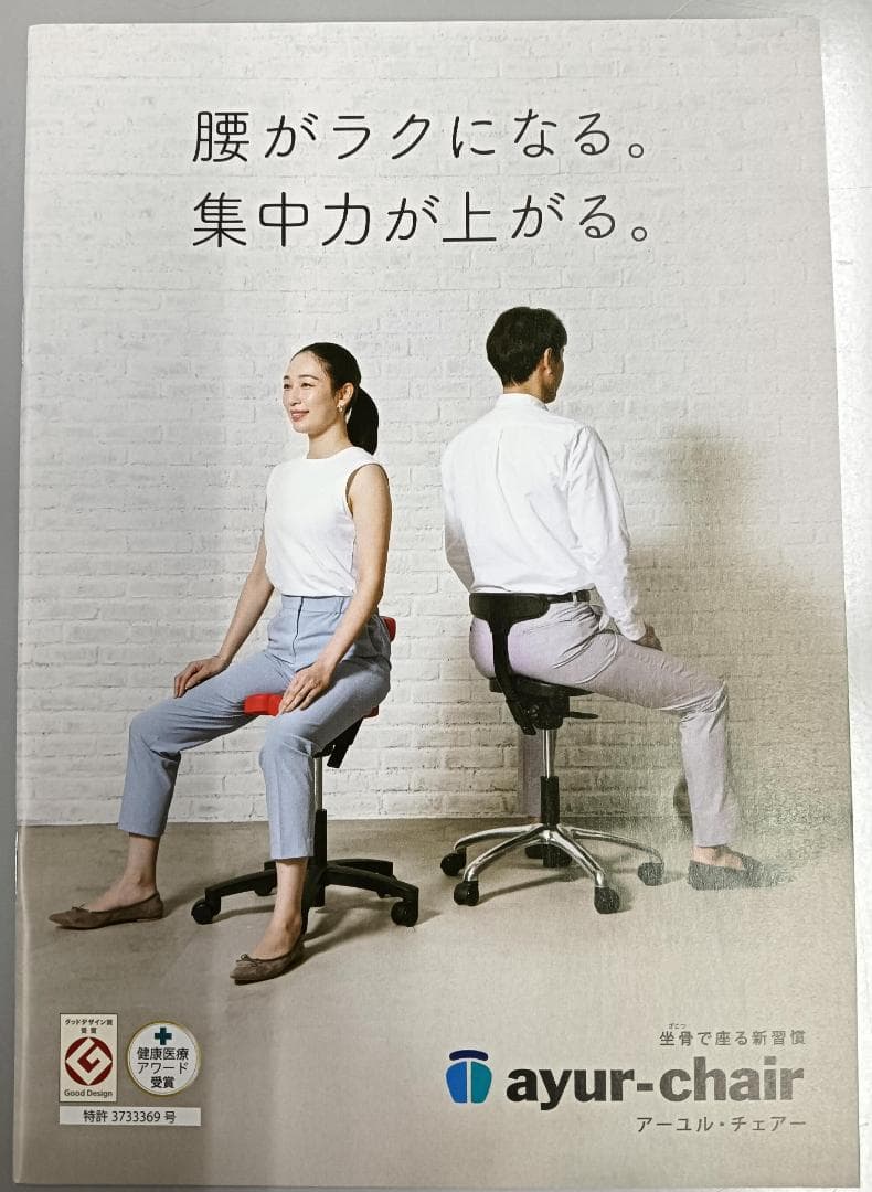 Ayur Chair アーユルチェアー オクトパス　猫背