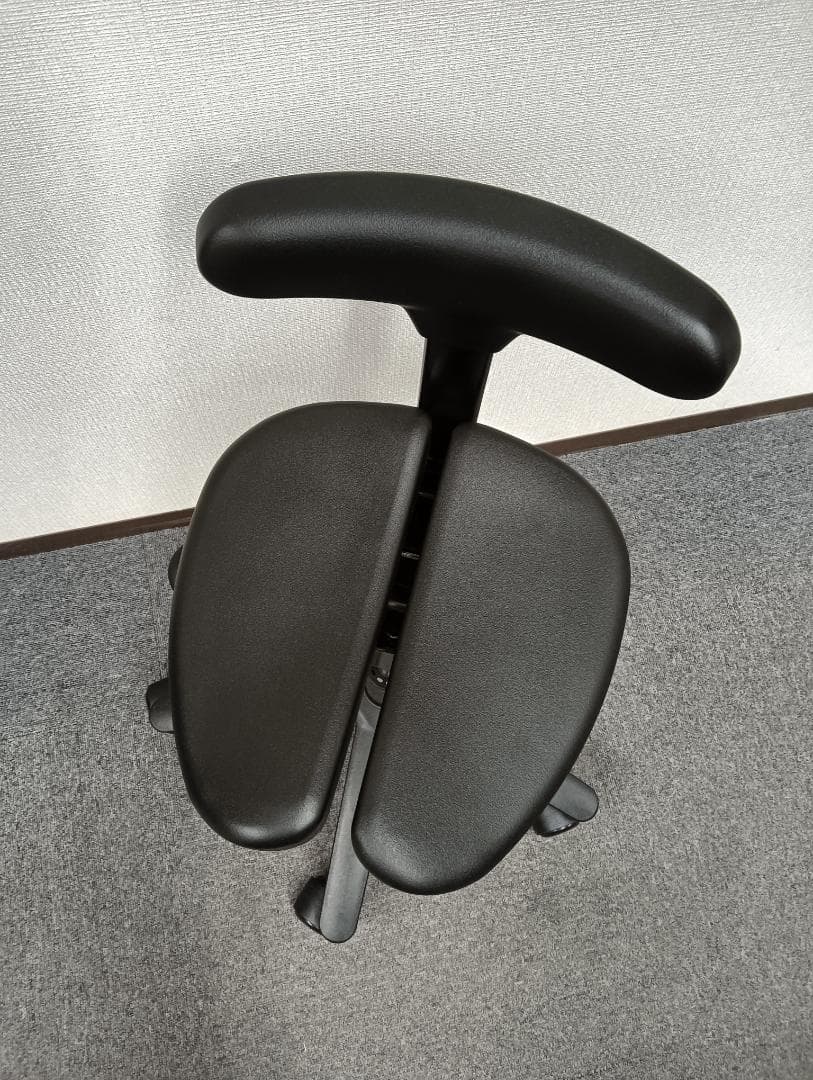 Ayur Chair アーユルチェアー オクトパス　猫背