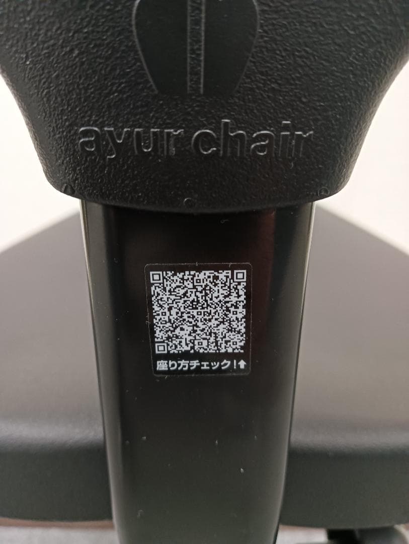 Ayur Chair アーユルチェアー オクトパス　猫背