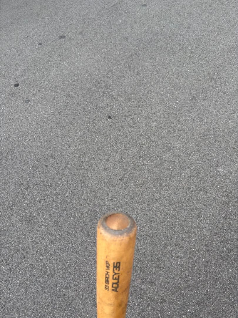 Victus 硬式 木製バット