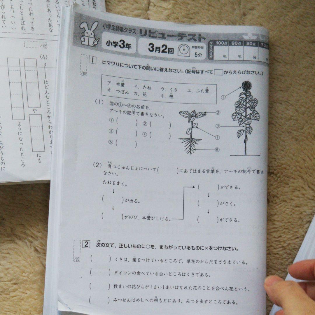 奨学社3年　しょうがく社　小学受験　小学特進クラス　幼児教育