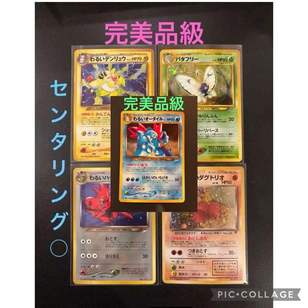 旧裏　完美品級　わるいオーダイル　わるいハッサム　わるいデンリュウ　バタフリー他