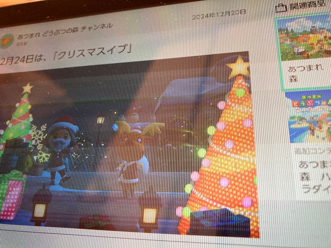 Nintendo Switch ジャンク