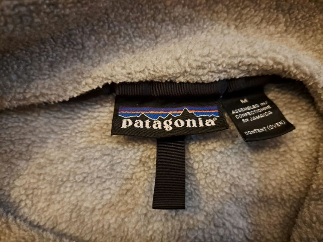 パタゴニアスナップT