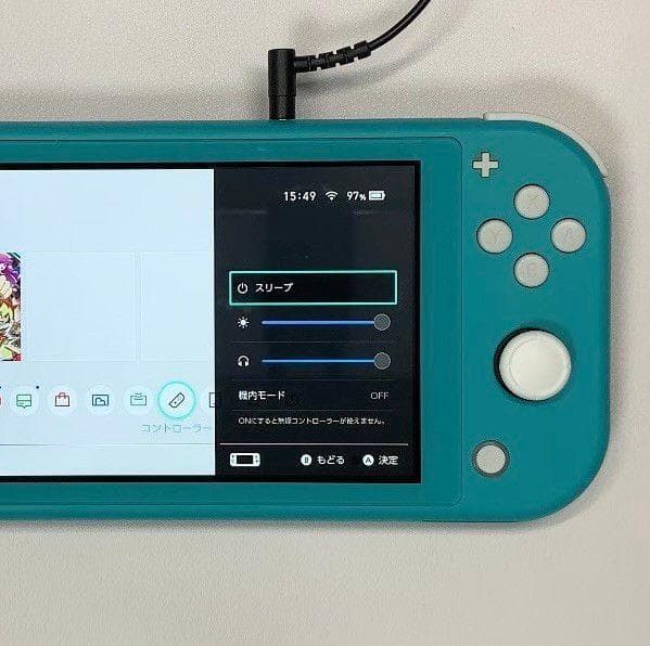 Nintendo Switch Lite 本体 動作品 どうぶつの森 ケース付き