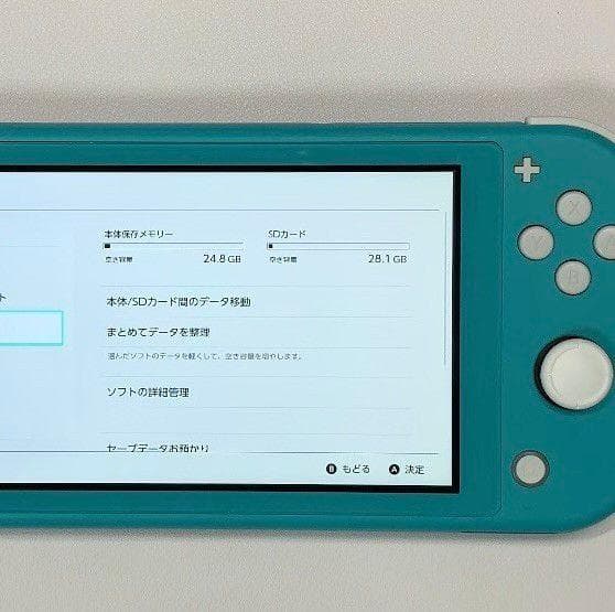 Nintendo Switch Lite 本体 動作品 どうぶつの森 ケース付き
