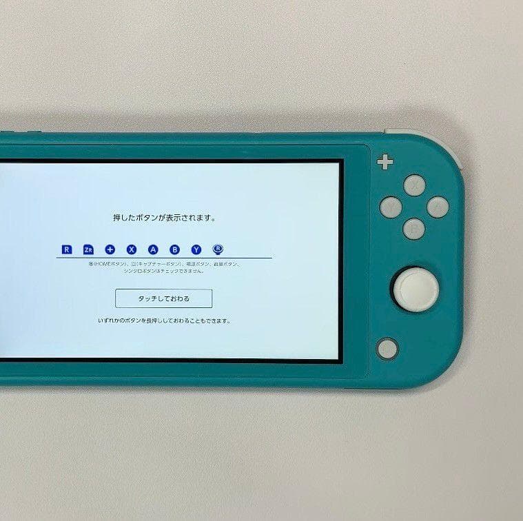 Nintendo Switch Lite 本体 動作品 どうぶつの森 ケース付き