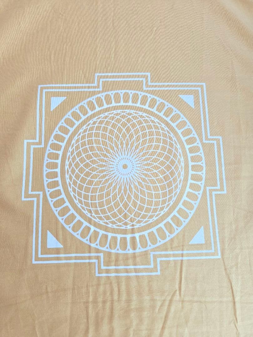 【正規品】シャクティマット イエロー／レベル２