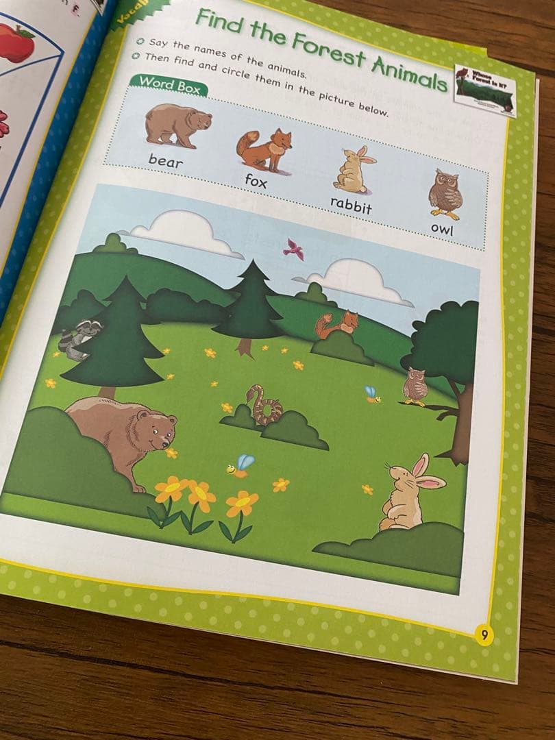 CTP Learn To Read ワークブック 12冊セット