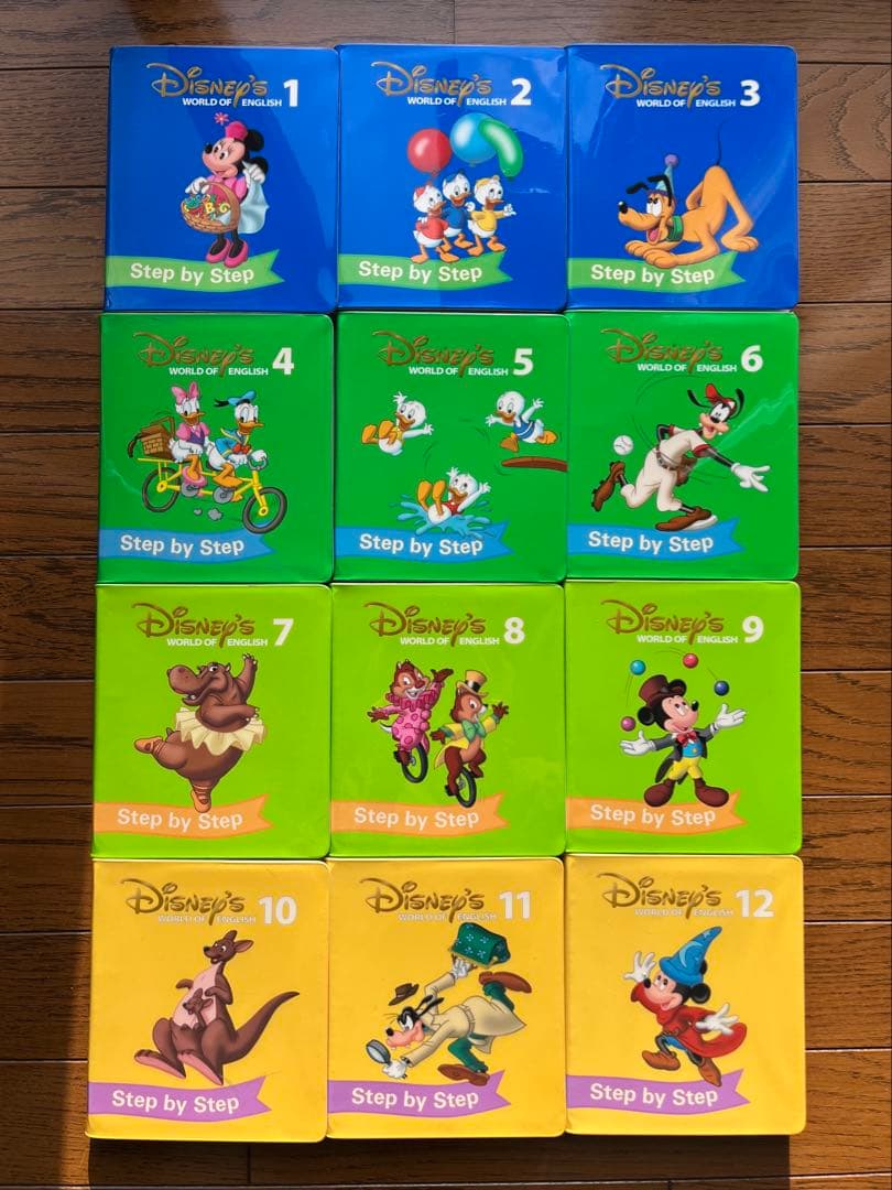 2018年DWE 新子役　ステップバイステップ　DVD