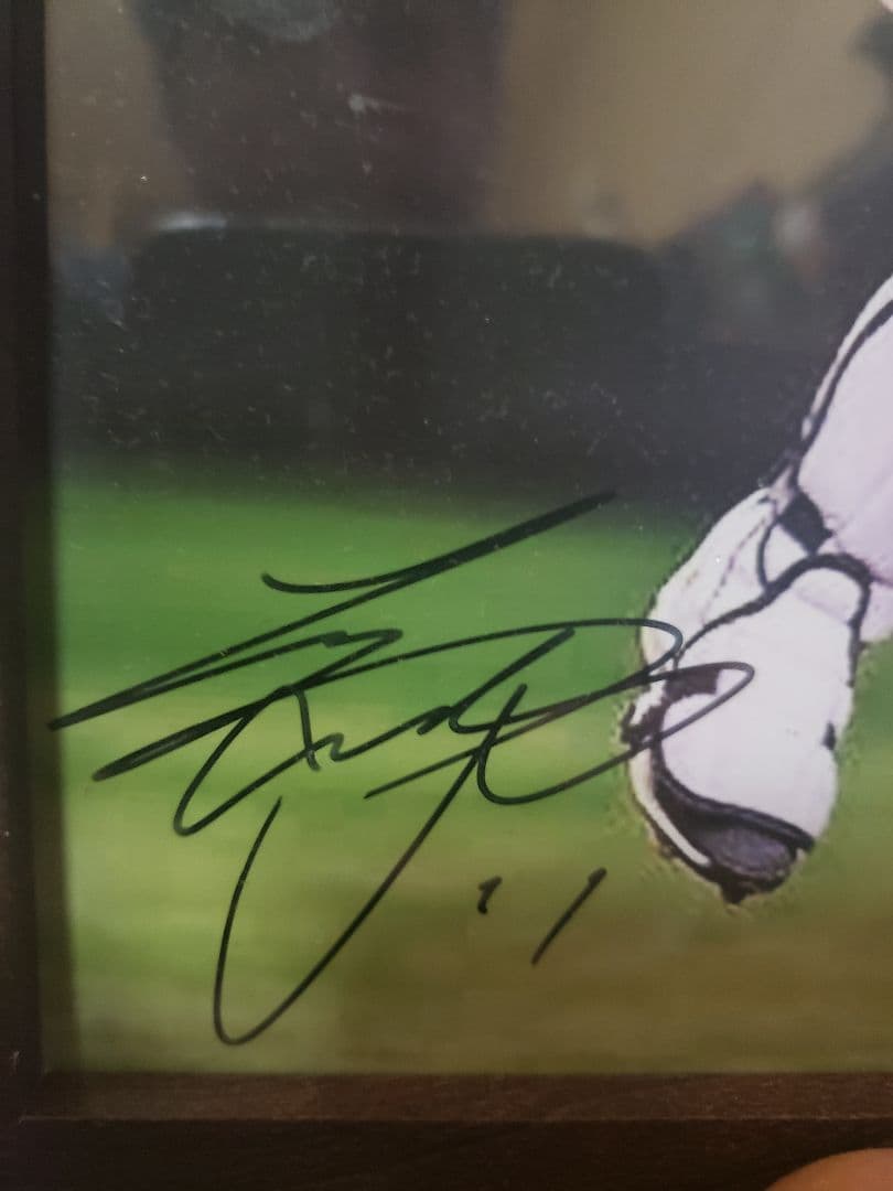入手困難★侍ジャパン★スーパースター大型大谷翔平直筆サイン入り、フォト★