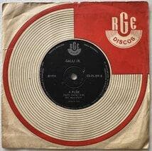 BRA盤70年オリジ！7インチ！！Galli Jr. /Nao Quero Ma