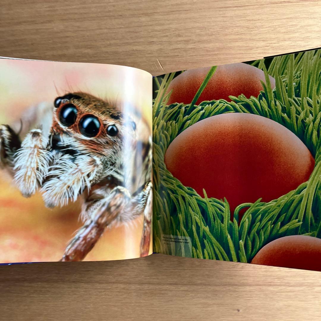 [NANO NATURE]R.ジョーンズ　英コリンズ社電子顕微鏡による驚異の実相