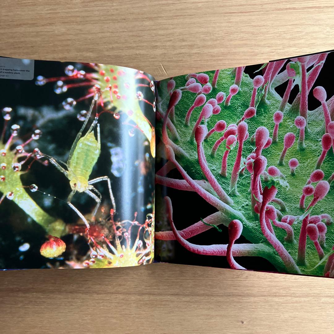 [NANO NATURE]R.ジョーンズ　英コリンズ社電子顕微鏡による驚異の実相