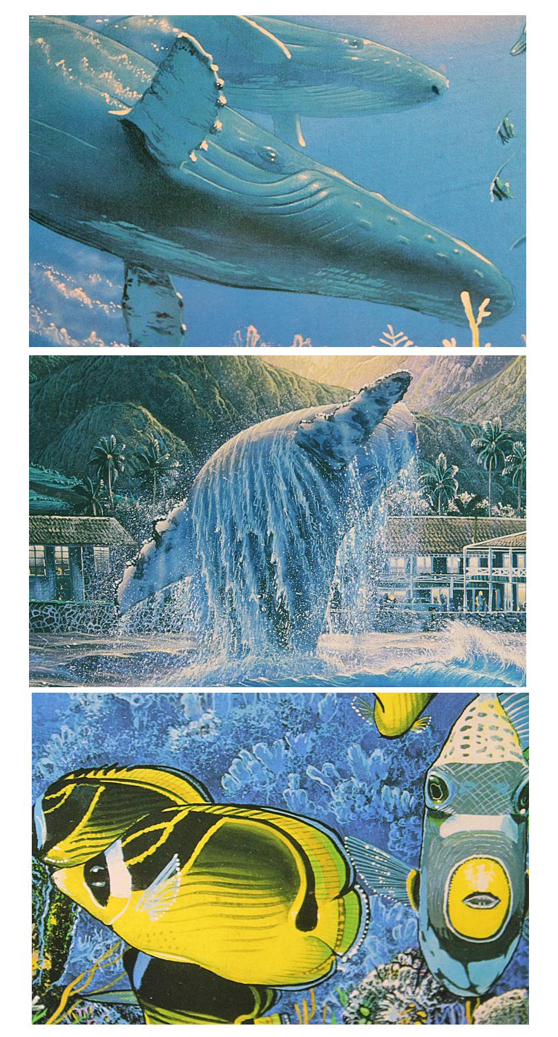 ラッセン【ラハイナビジョンズ】 ミクスドメディア 保証書有り