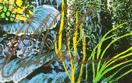 ラッセン【ラハイナビジョンズ】 ミクスドメディア 保証書有り