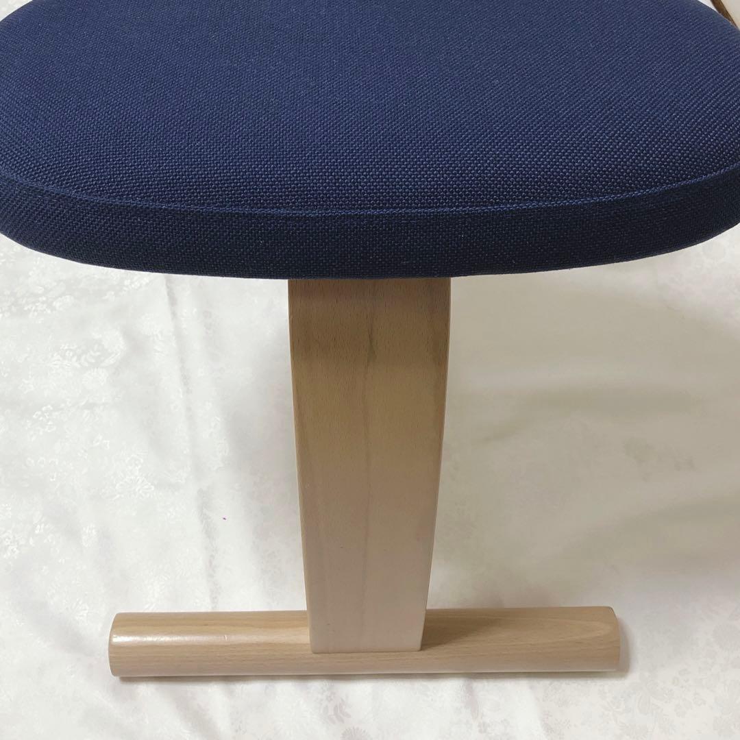 バランスチェア Balans EASY バランスイージー バランスラボ ネイビー