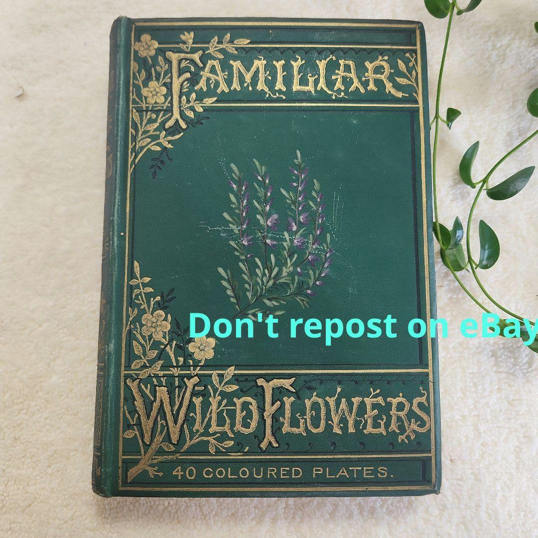 植物図鑑　洋書　ボタニカルアート　アンティーク　リトグラフ　24