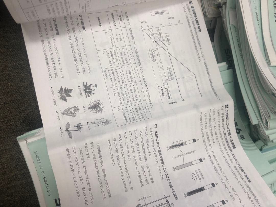 サピックス６年理科　デイリー/夏期集中/春夏/土特 /日特　中古　２０２５年受験