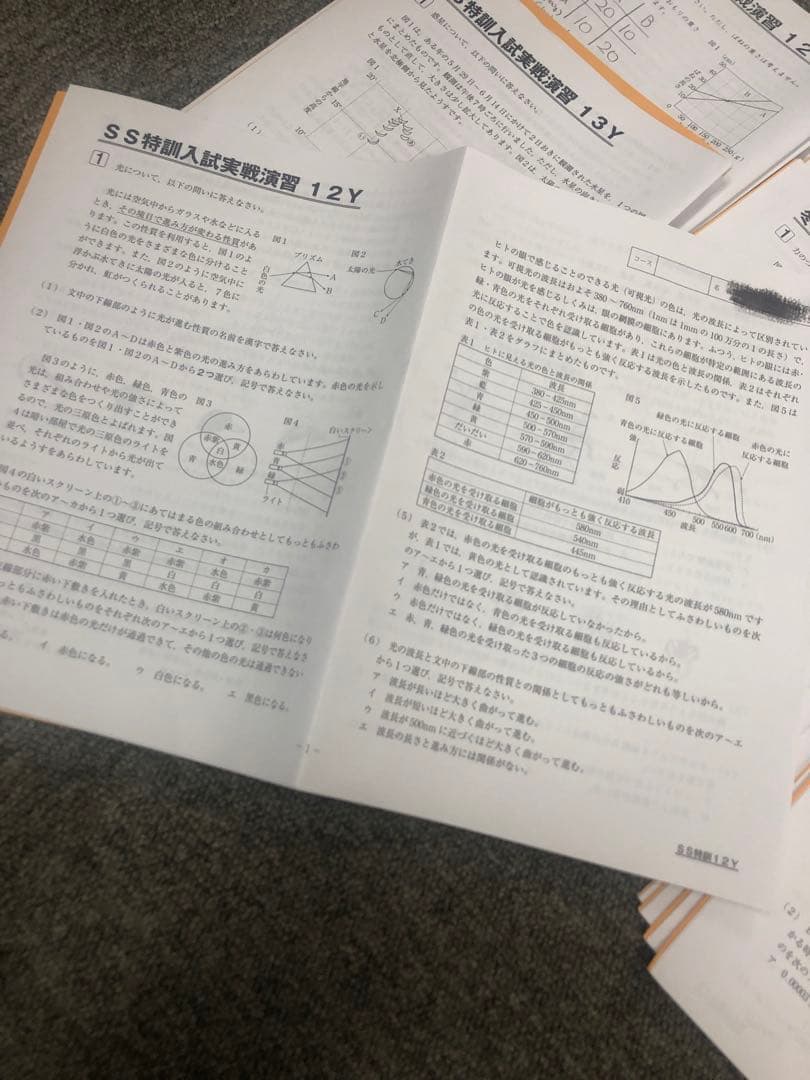 サピックス６年理科　デイリー/夏期集中/春夏/土特 /日特　中古　２０２５年受験
