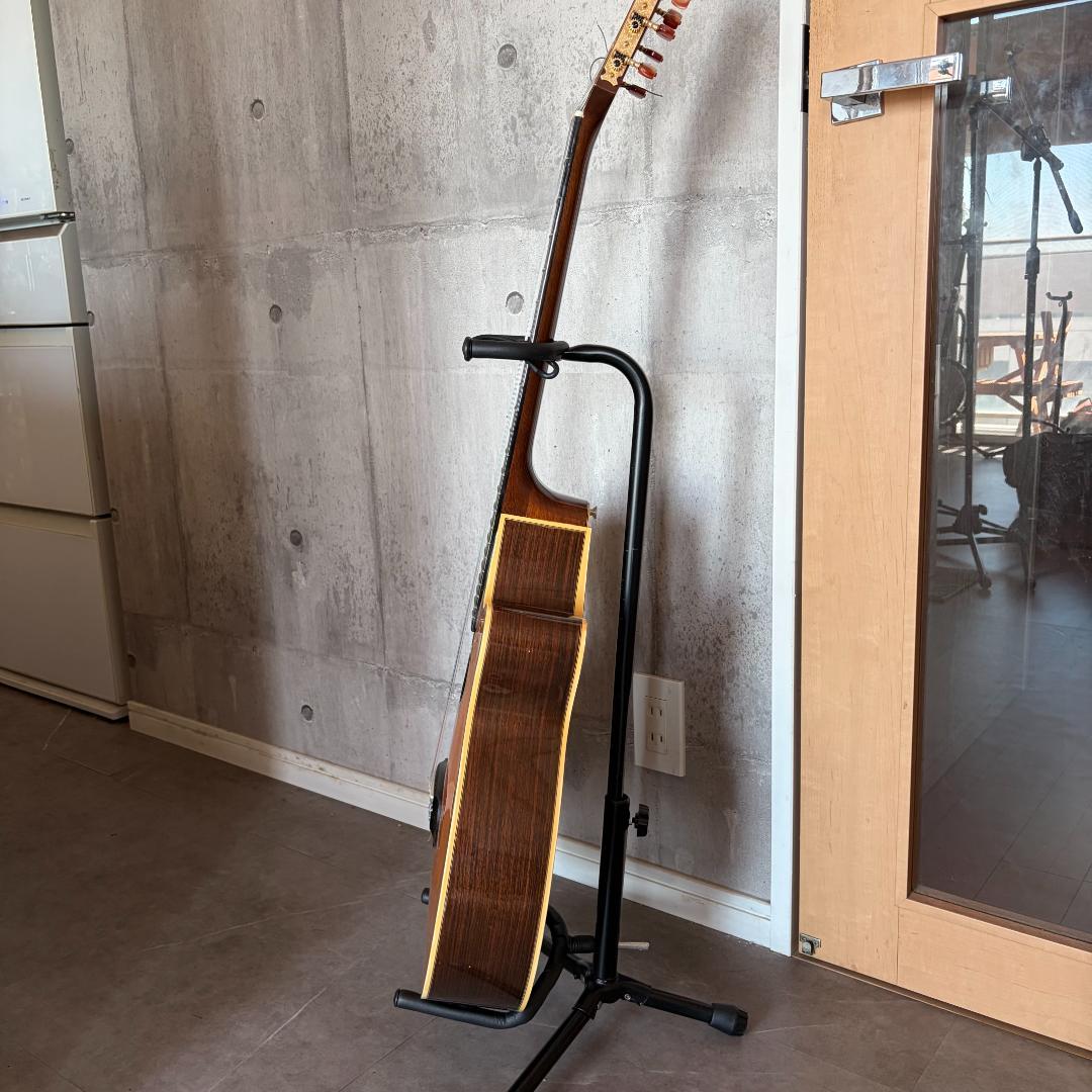 タカミネ　ガッドエレアコギター　PT-115N ST