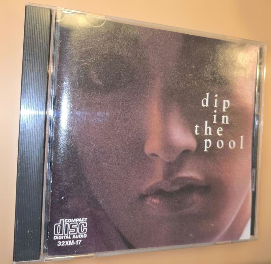 dip in the pool 　ディップインザプール 1986年