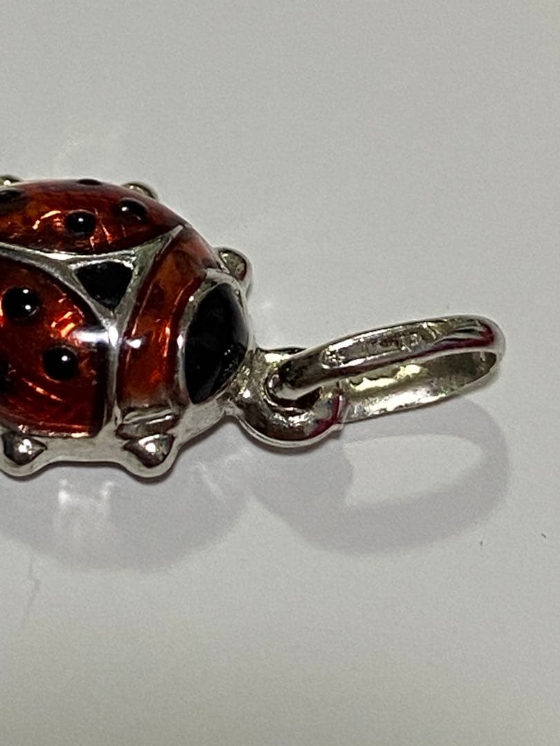 k18 ウノアエレ　テントウムシ　チャーム