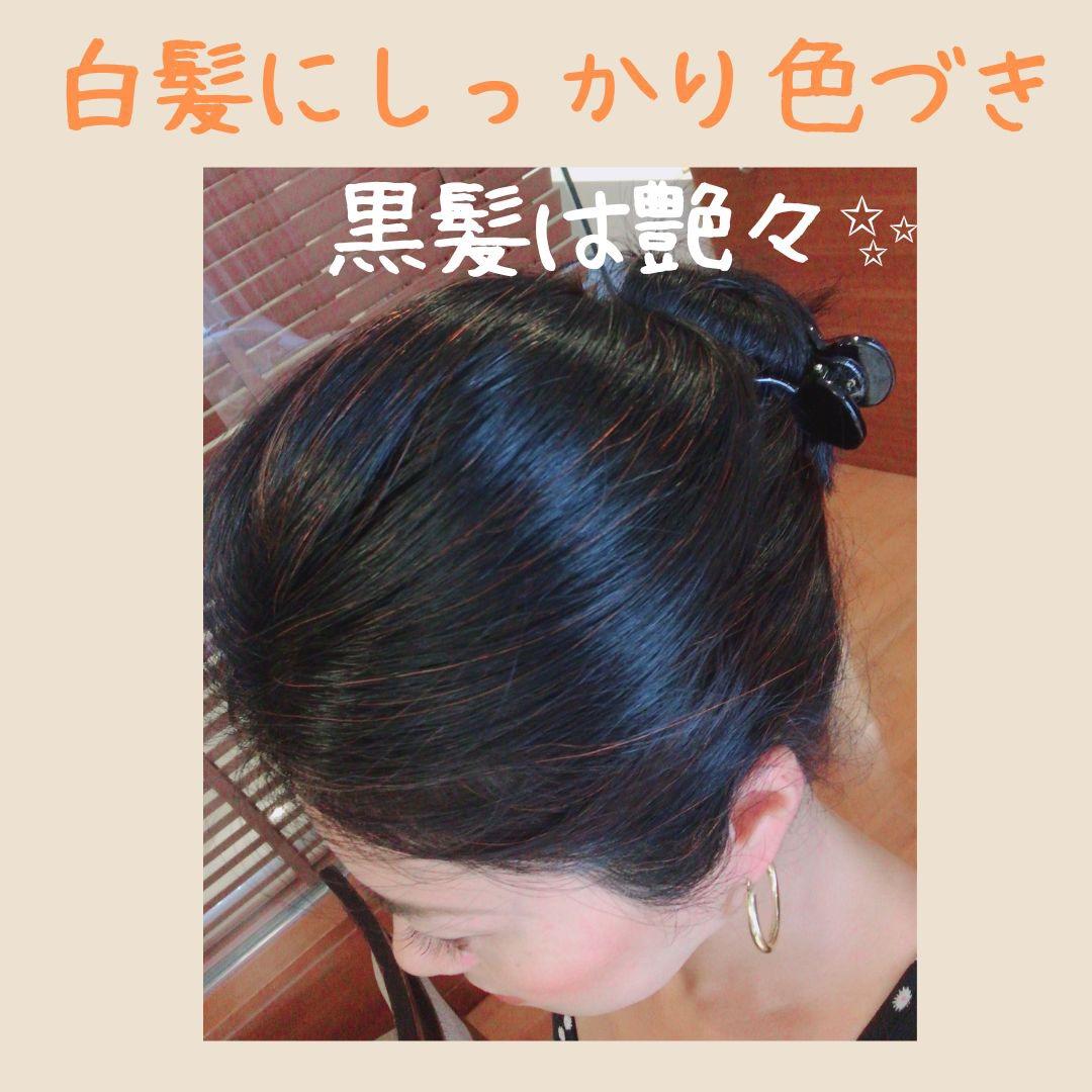 よりどり4点選べる【最高AAAランク高品質ヘナ】選べて嬉しい♪ヘナ白髪染め
