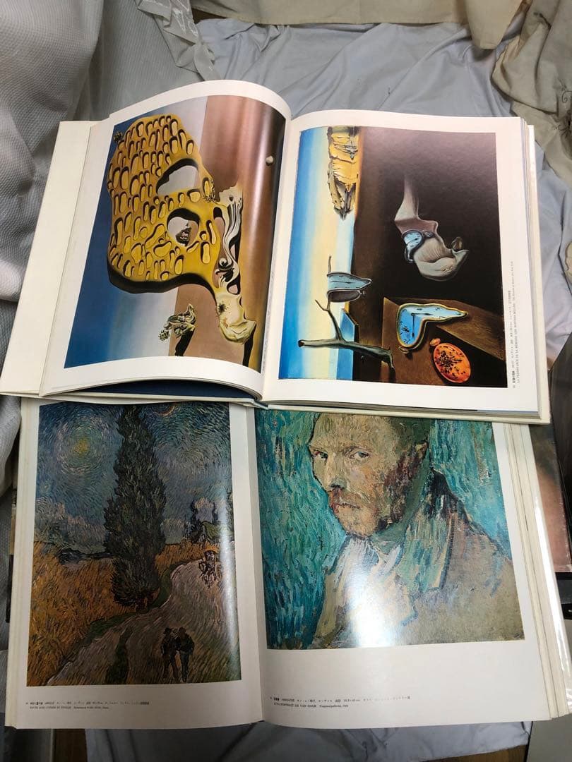 アート　美術本全集　26冊　コレクター　ピカソ　ゴッホ　ルノワール　棟方志功 等