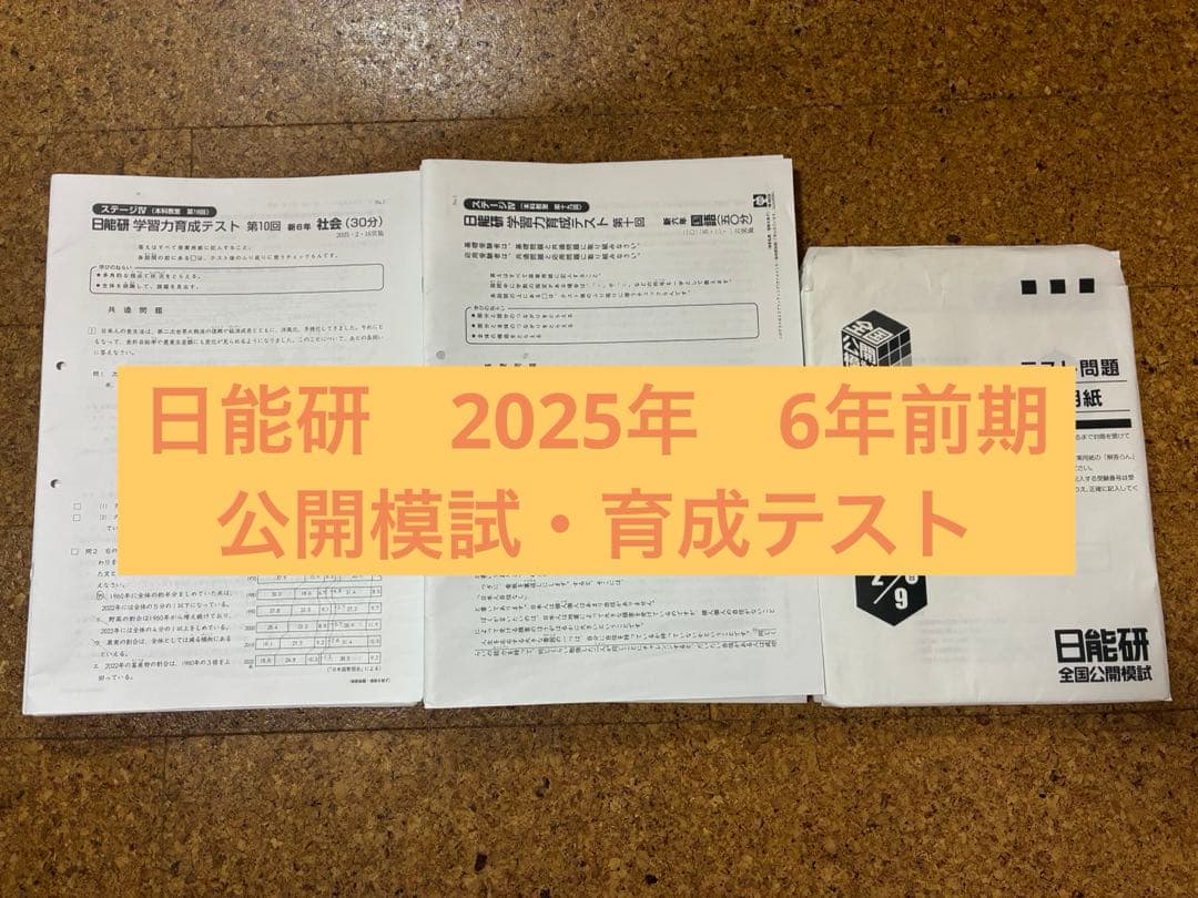 最新版　今年度２０２５年前期分　日能研　6年生　育成テスト　全国公開模試