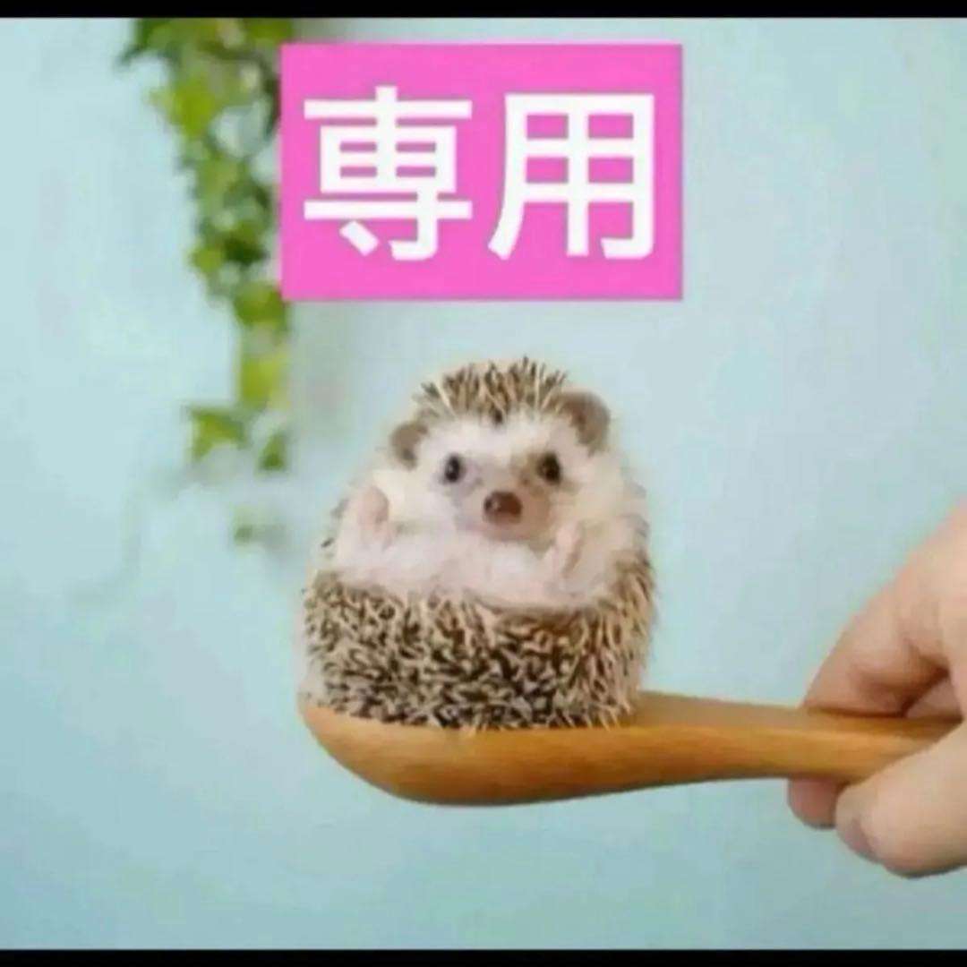 3点、スノー3点セット