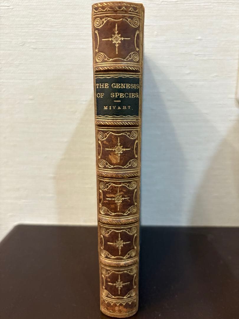 洋書 THE GENESIS OF SPECIES MIVART 1871